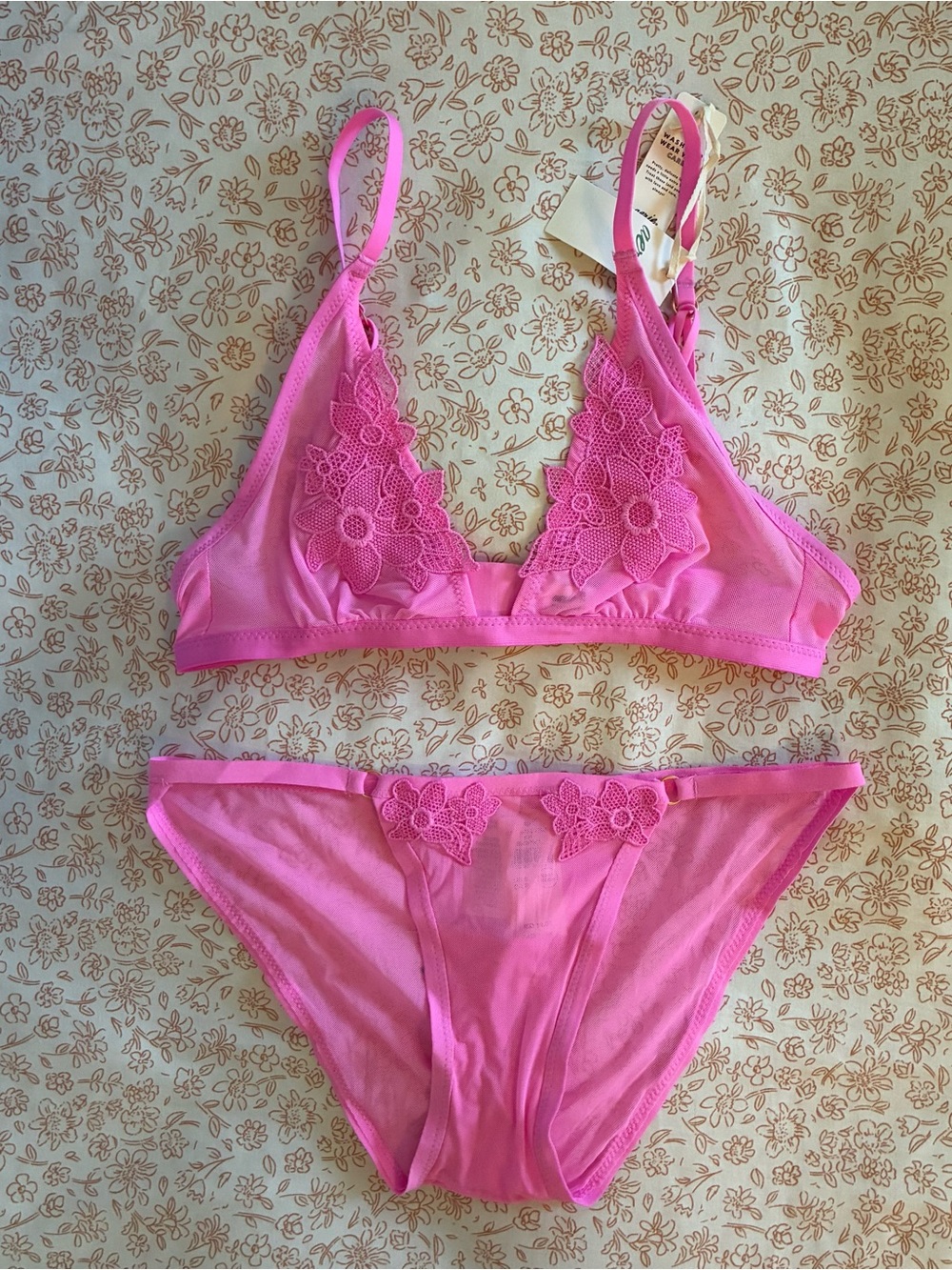 aerie Appliqué Plunge Pink Floral Lace Bralette & Bikini Set